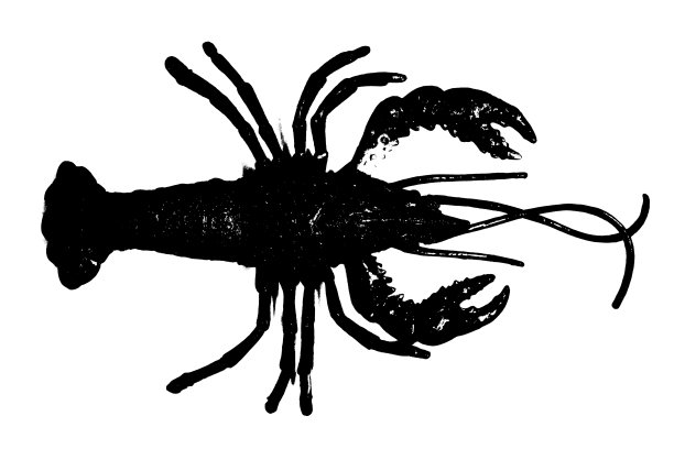 无脊椎动物标志