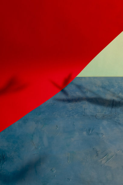 可放置图片文字