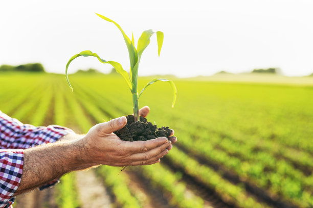 agricultural