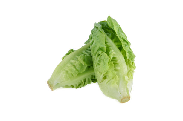 romaine