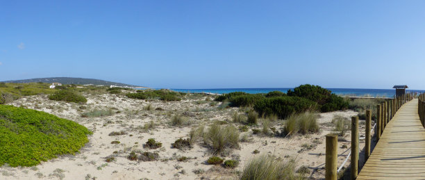 ibiza