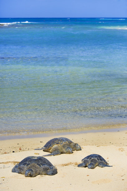 kauai