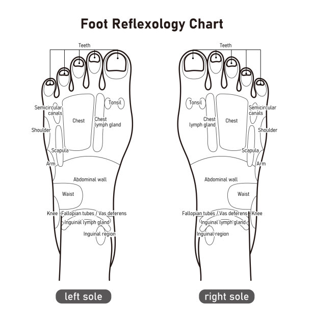 足疗穴位图
