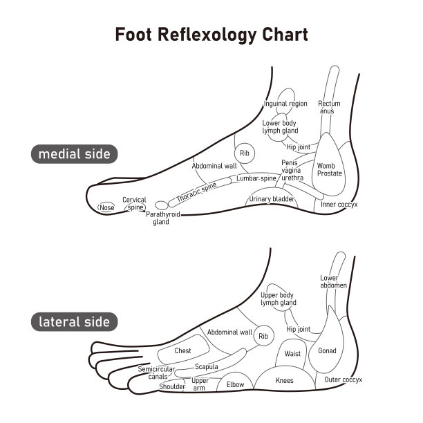 足疗穴位图