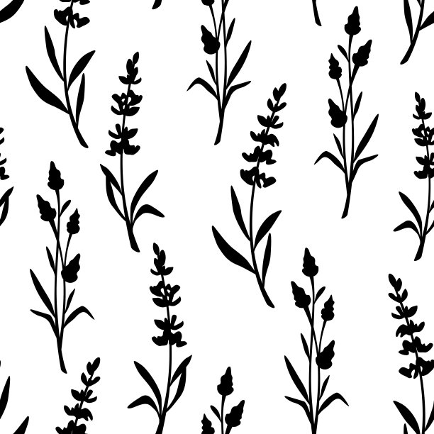 黑白花卉植物叶子连续图案