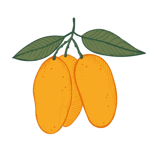 芒果树种子