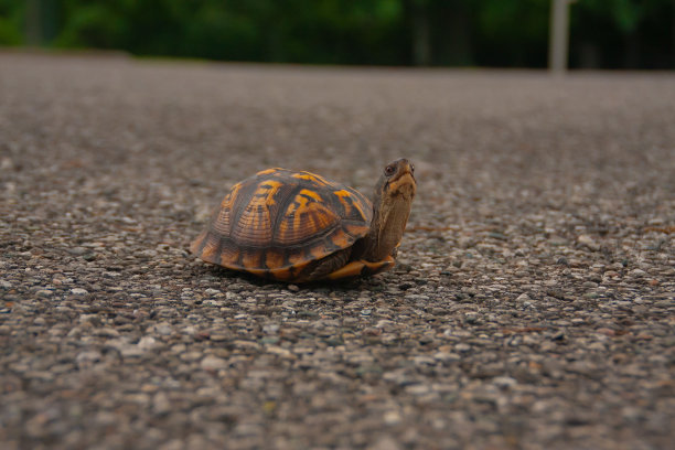 黄贝路