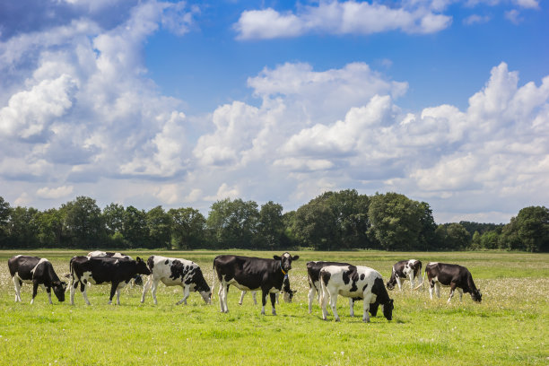 drenthe