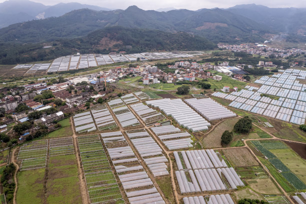 植树节 中式 山水