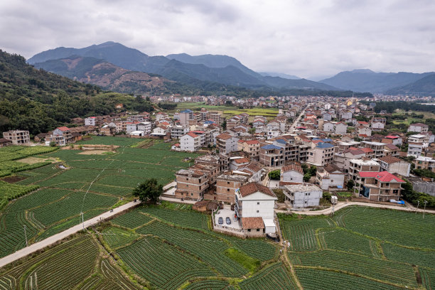 植树节 中式 山水