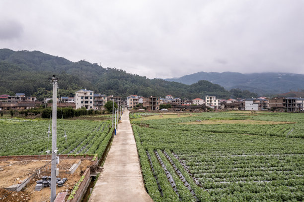 植树节 中式 山水