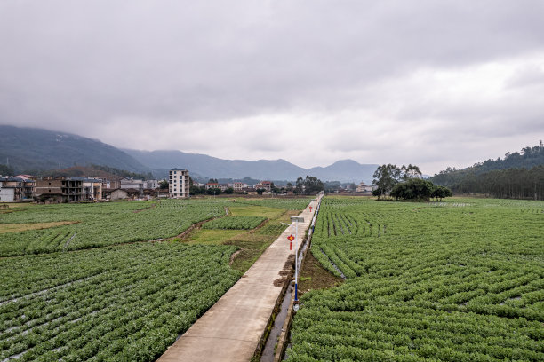 植树节 中式 山水