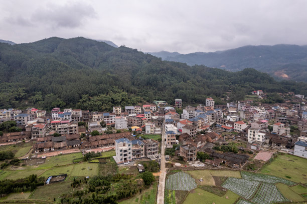 植树节 中式 山水