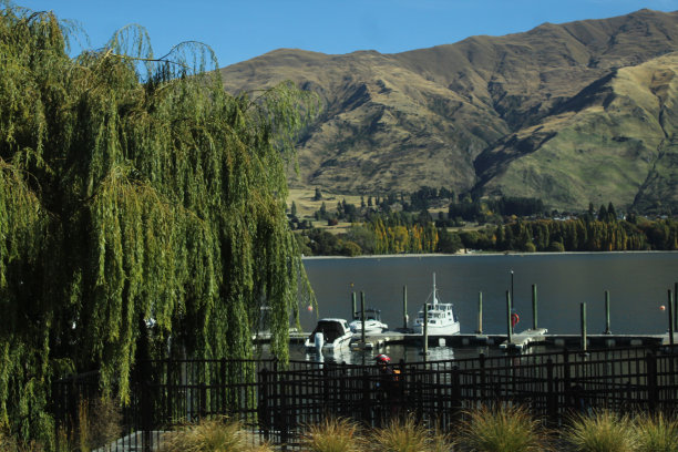 wanaka