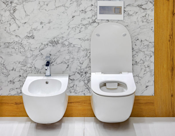 bidet