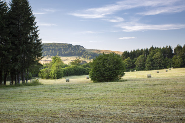 rhön