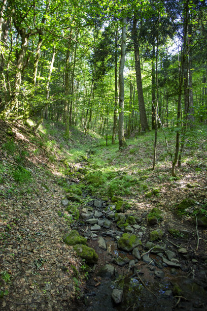 rhön