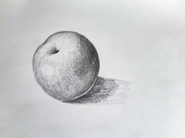 苹果素描