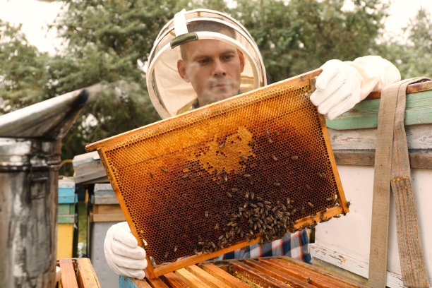 beekeeper