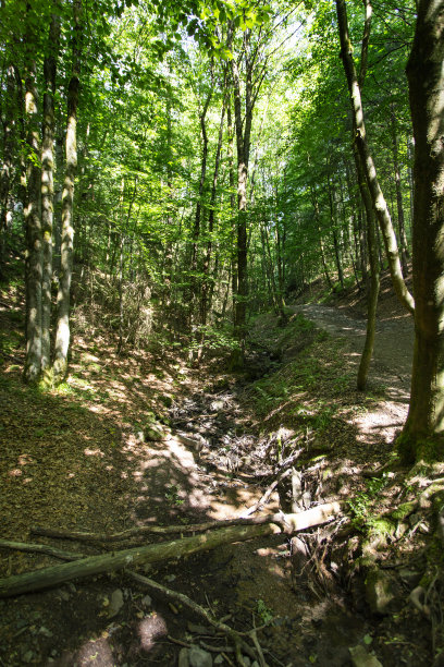 rhön