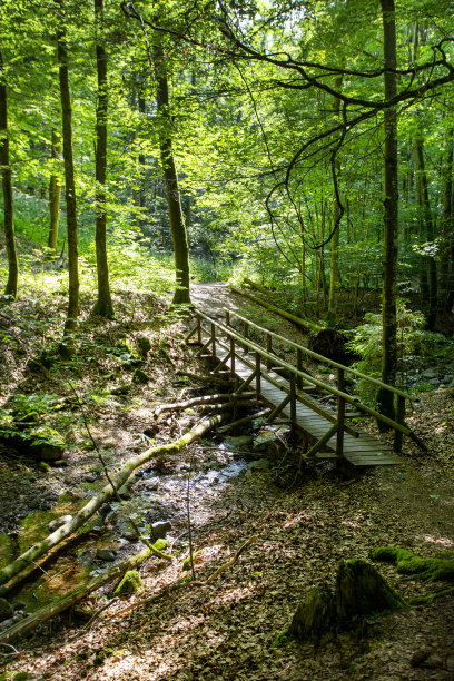 rhön