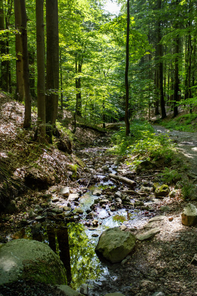 rhön