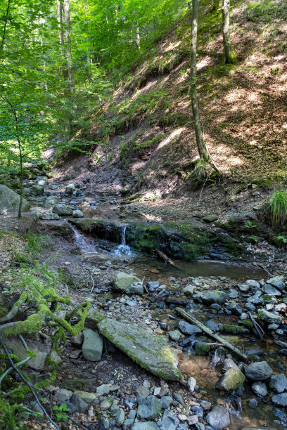 rhön