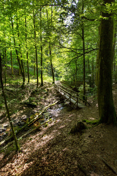 rhön