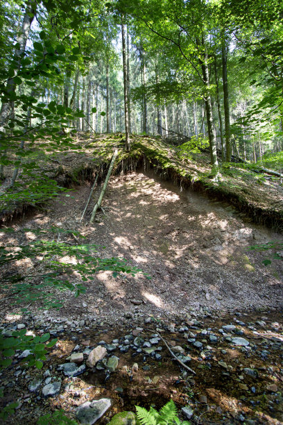 rhön