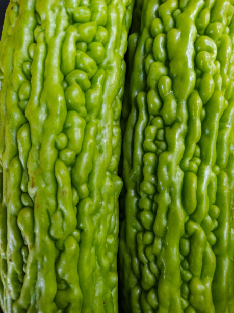 苦瓜素材