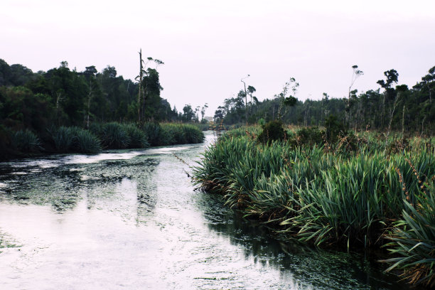 湿地小溪暮色