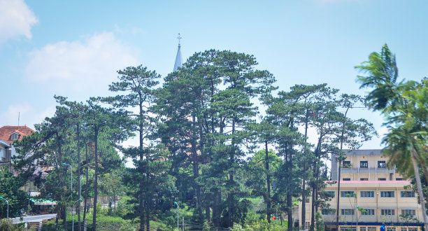 dalat