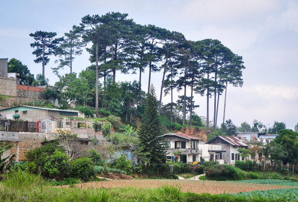 dalat