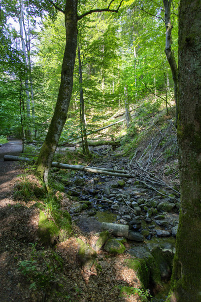 rhön