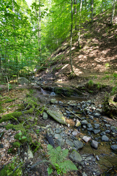 rhön
