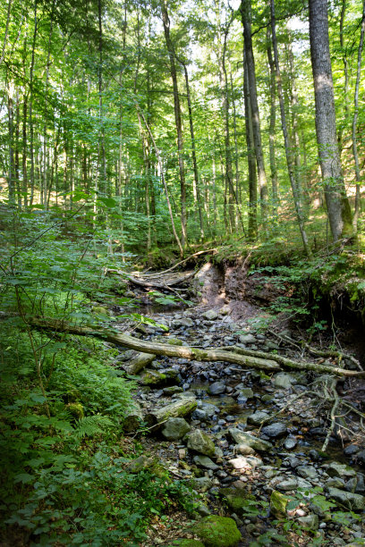 rhön