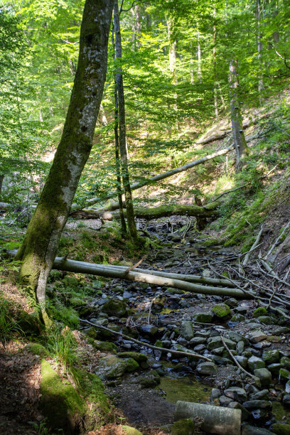rhön