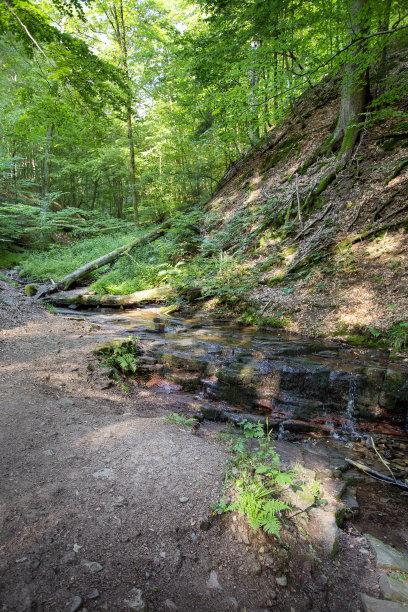 rhön