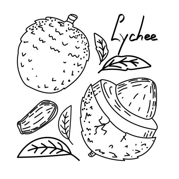 荔枝logo