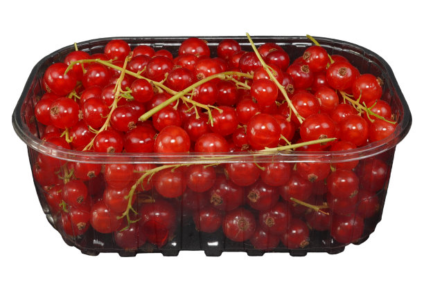 redcurrant
