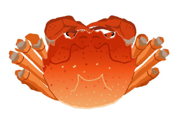 中国风螃蟹插画