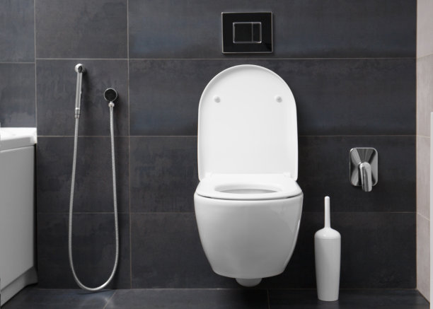 bidet