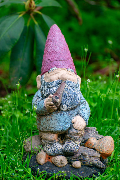 gnome