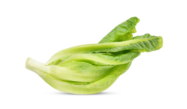 romaine