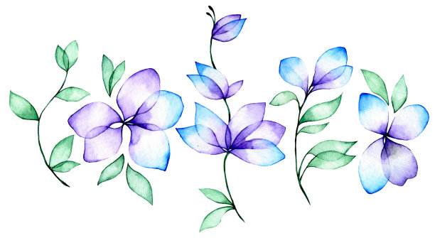 蓝玫瑰水彩花卉挂画装饰画