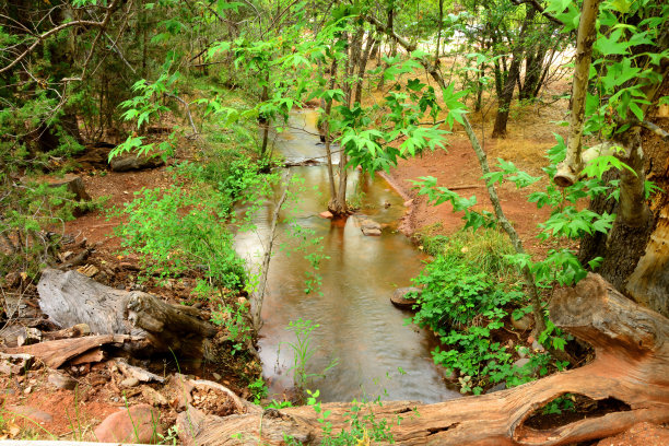 ditch