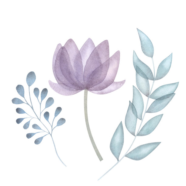 紫玉兰花抽象画