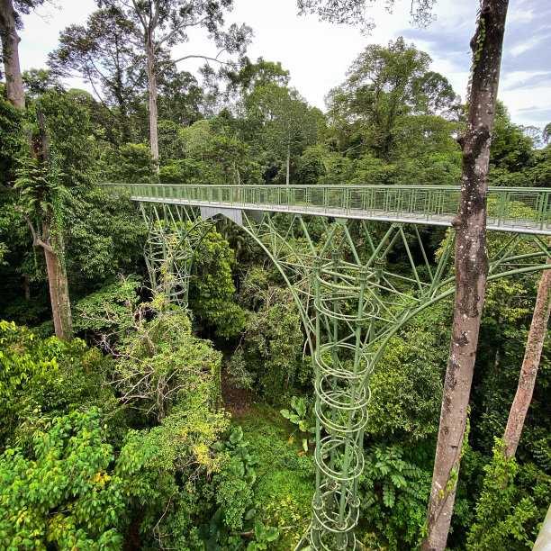 skywalk