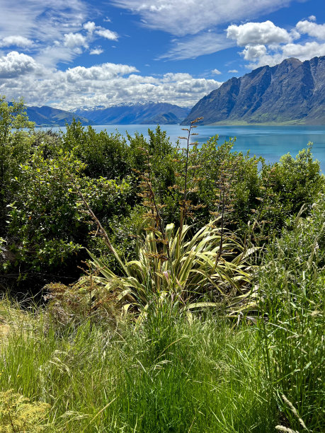 hawea