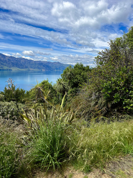 hawea